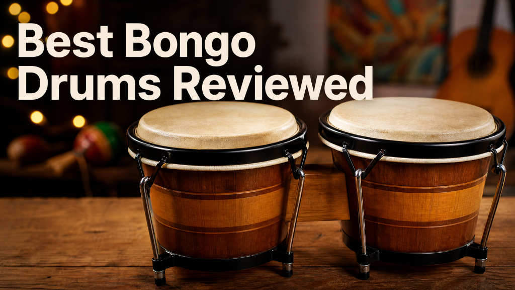 best bongo drums