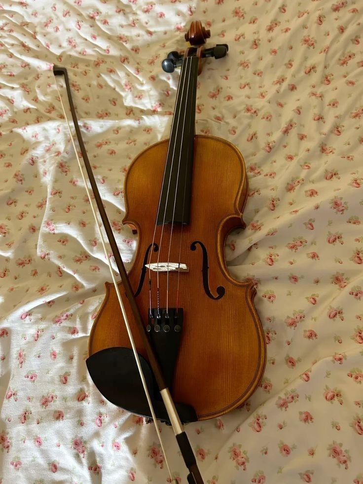 Cremona SV-500 Premier Violin Outfit 4/4