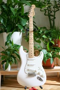 Fender Player Stratocaster Electric Guitar