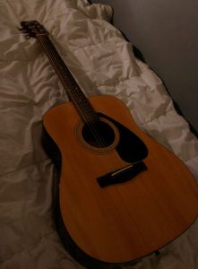 Yamaha F310
