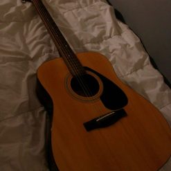 Yamaha F310